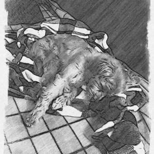 Meet your Posher, Katy